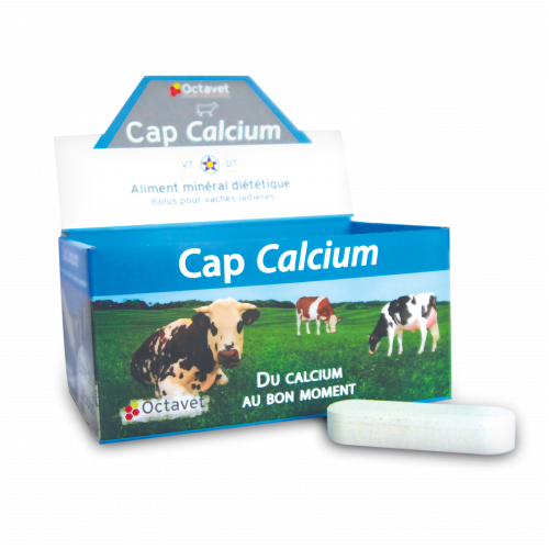 Cap Calcium - Box of 24 bolus