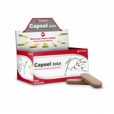 Capsel Bolus - Boîte de 20 bolus