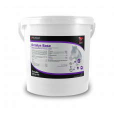 Octalys Base - a 20 kg bucket